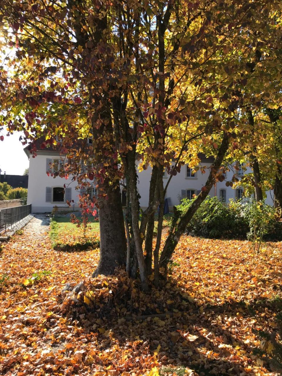 Manoir De La Cote-Dieu بورينتري المظهر الخارجي الصورة